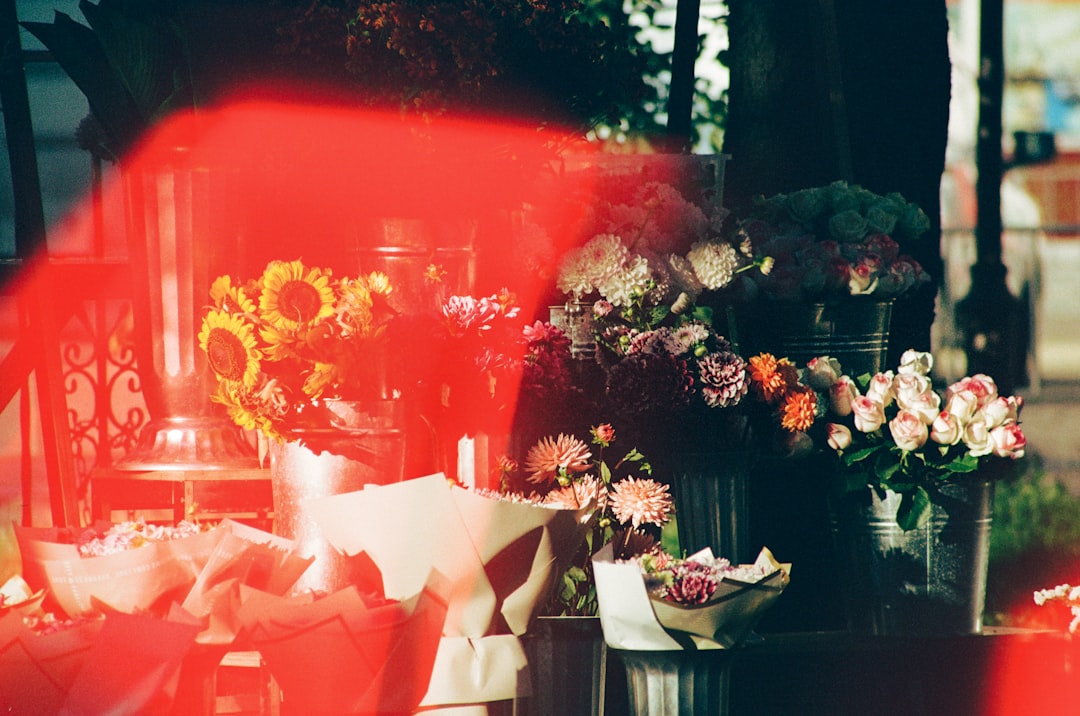 Prachtige lang haar kapsels om zelf te proberen